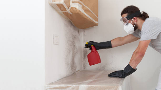 Professional Bathroom Mold Removal technician working in Runnemede, NJ