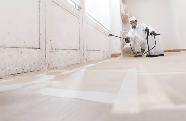 24/7 Emergency Bathroom Mold Removal experts in Runnemede, NJ